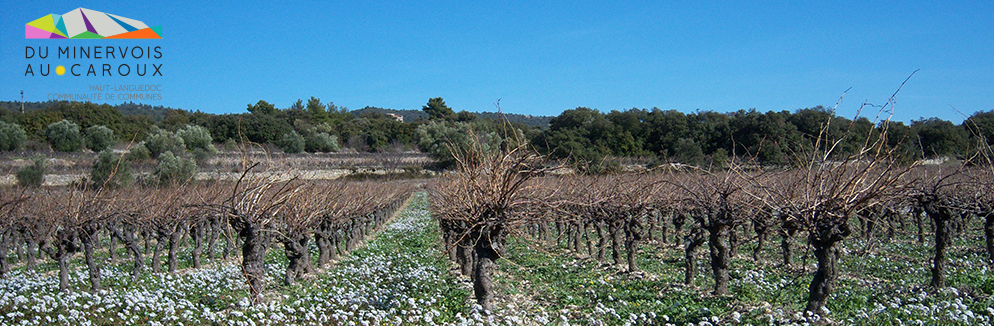 Communauté de communes du Minervois au Caroux